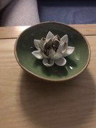 杨浦区SPA养生，身心焕发新体验
